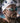 Neversecond is the Official Performance Nutrition Partner of Jan Stratmann